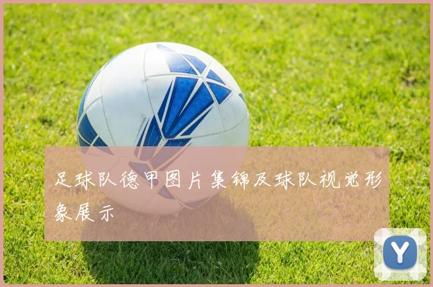 足球队德甲图片集锦及球队视觉形象展示