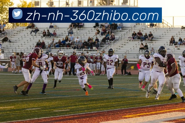 多媒体互动体验